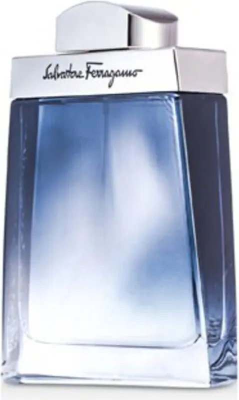 Salvatore Ferragamo Subtil Homme