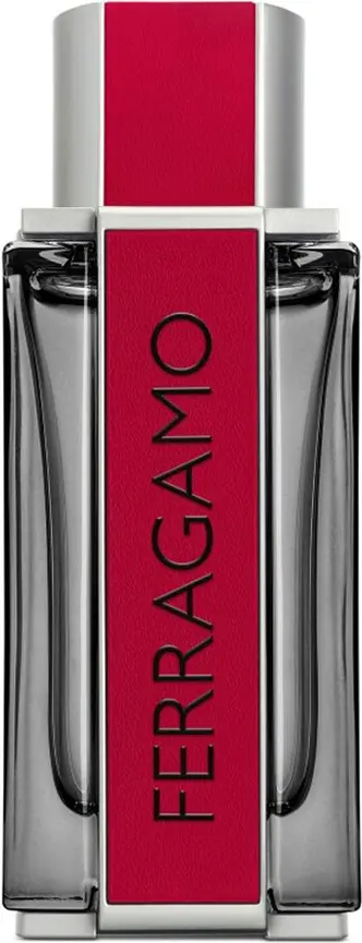 Salvatore Ferragamo Красный Кожа