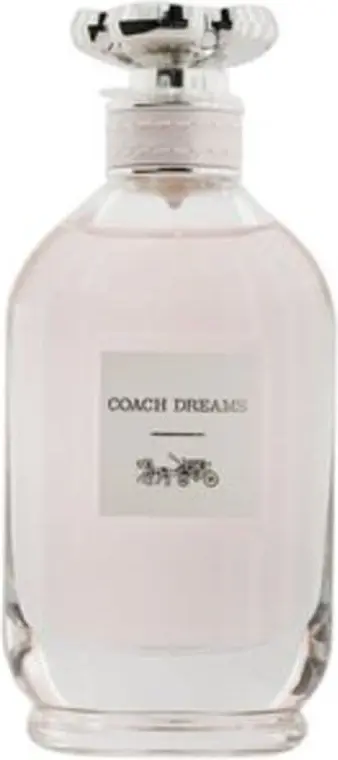 Coach Dreams