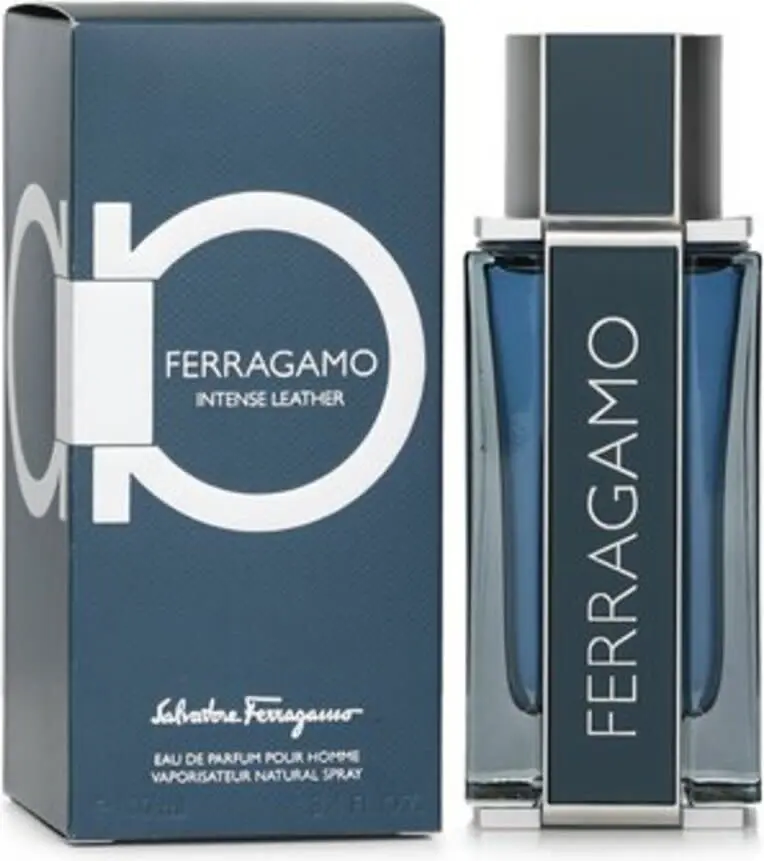 Salvatore Ferragamo Интенсивный Кожа