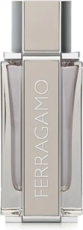 Salvatore Ferragamo Блестящая Кожа