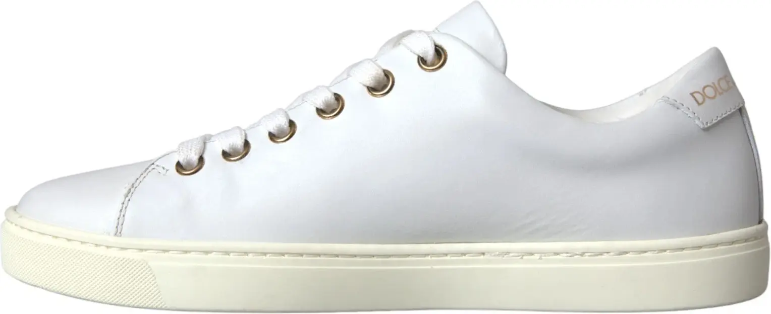 Кеды Dolce & Gabbana Portofino Sneaker