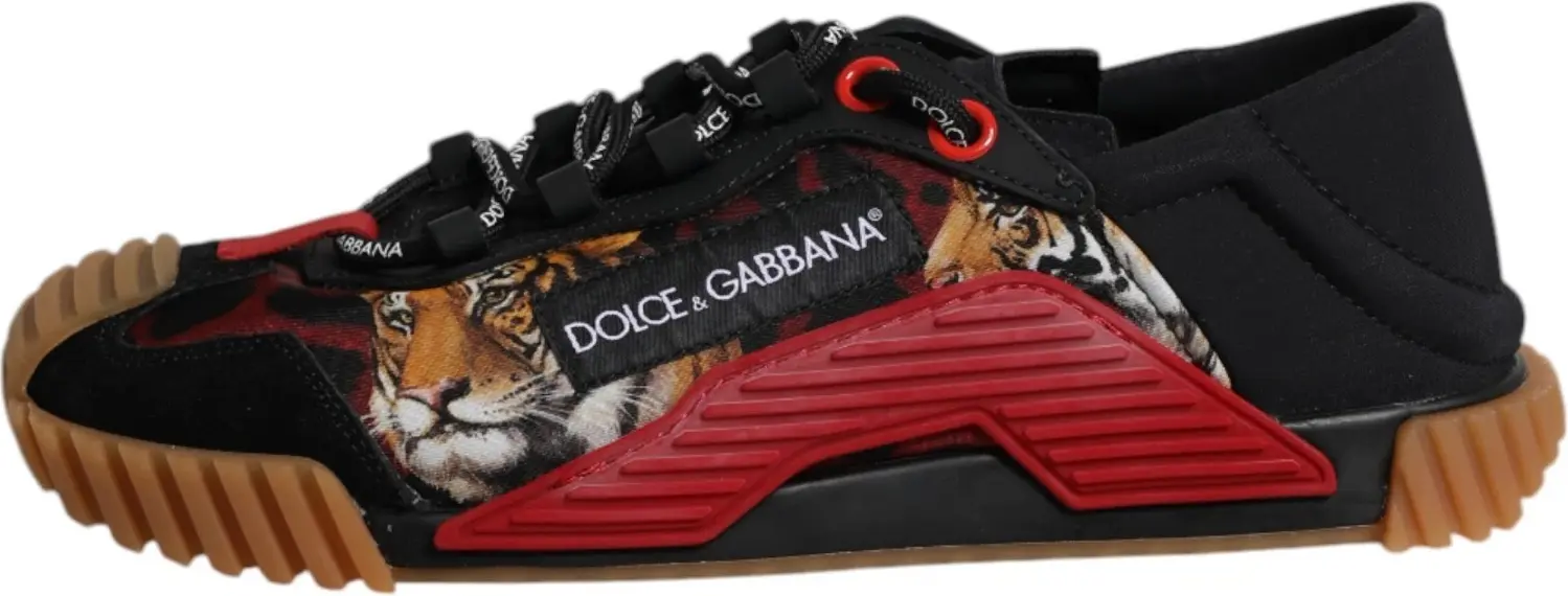 Кроссовки Dolce & Gabbana Low Top NS1