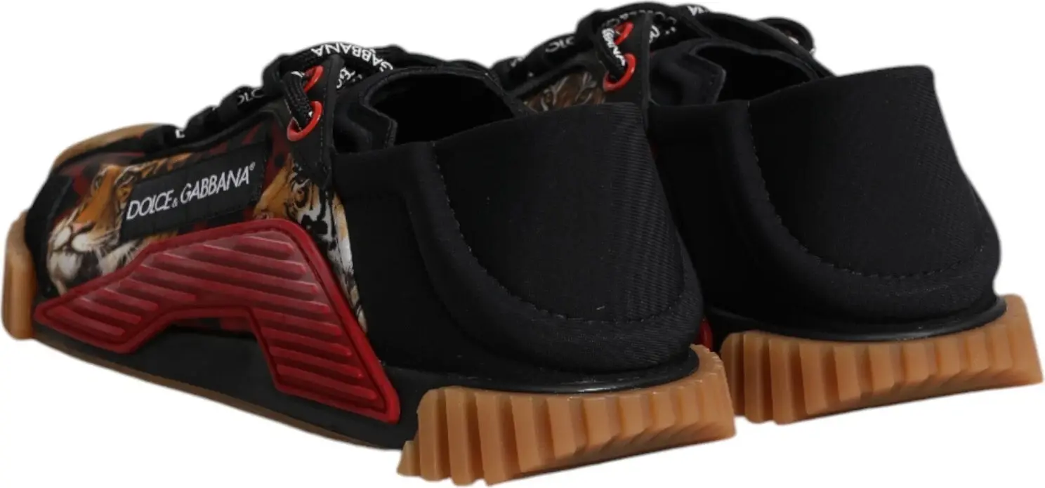 Кроссовки Dolce & Gabbana Low Top NS1