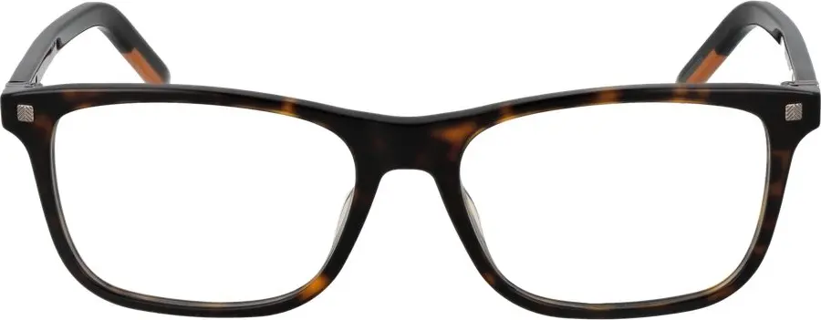 Очки Ermenegildo Zegna