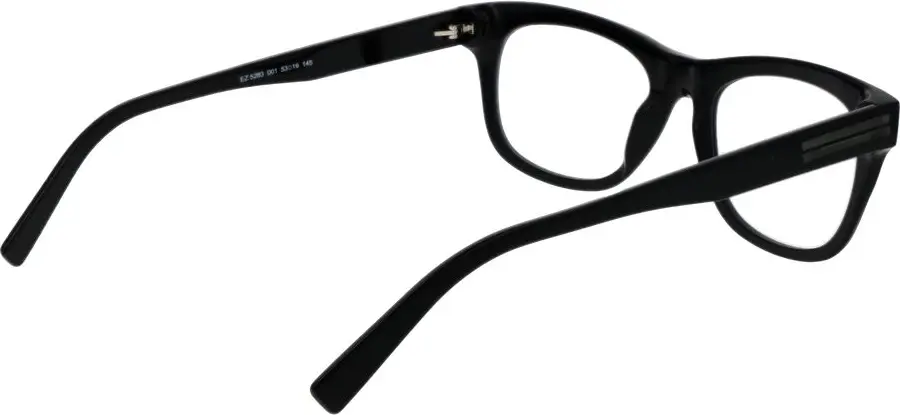 Очки Ermenegildo Zegna