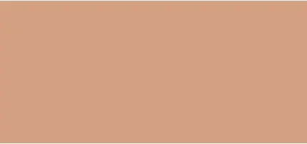 Пудра компактная Orlane Bronzing Pressed Powder