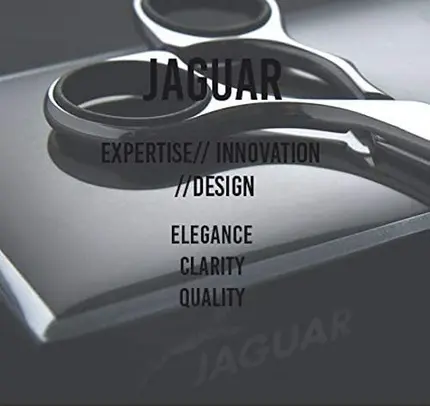 Часы Jaguar Silver Line Ocean