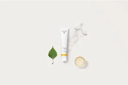 Очищающий крем Dr Hauschka