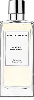 Eau De Toilette Angel Schlesser Les Eaux D'Un Instant