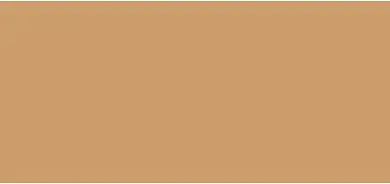 Сывороточная тональная основа Inika Organic Natural Light Care