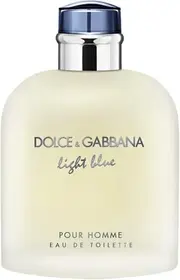 Туалетная вода Dolce & Gabbana Light Blue Pour Homme