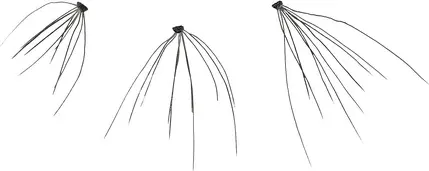 False Eyelashes Kiss Haute Couture Individual Lash Clusters