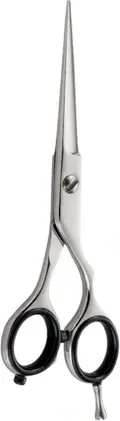 Ножницы для волос Xanitalia Iwasaki Master Offset 6