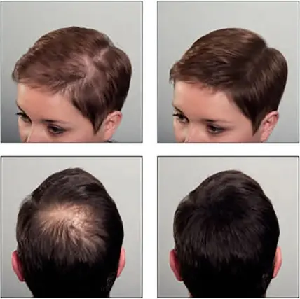 Wax Sibel Hair Sculptor Black