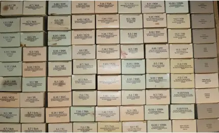 Color Rinse Kevin Murphy Toners