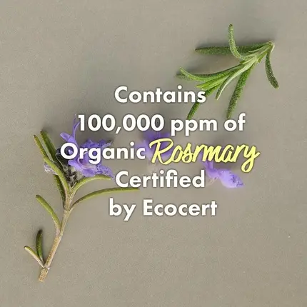 Средство для кожи головы Rated Green Cold Brew Rosemary Балансирующее