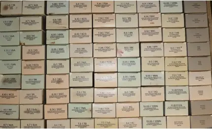Тонирующая краска Kevin Murphy Toners Ice