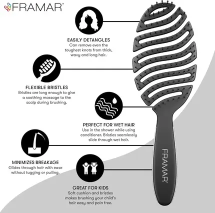 Detangler Brush Framar