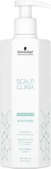 Шампунь Schwarzkopf Scalp Clinix
