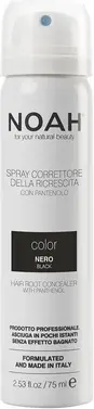 Salvatore Ferragamo Noah Color Spray Corrector Black