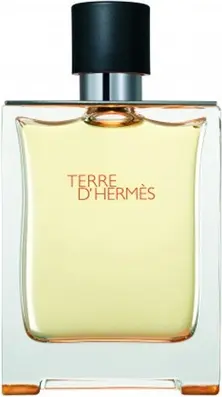 Hermes Terre D'Hermes Eau de Toilette Spray