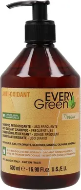 Шампунь Dikson Every Green Anti Oxidant