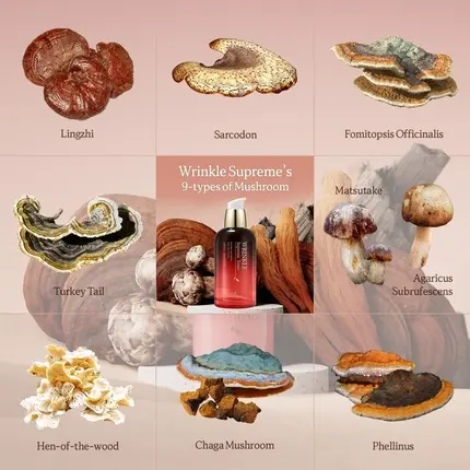 The Skin House Wrinkle Supreme Emulsion