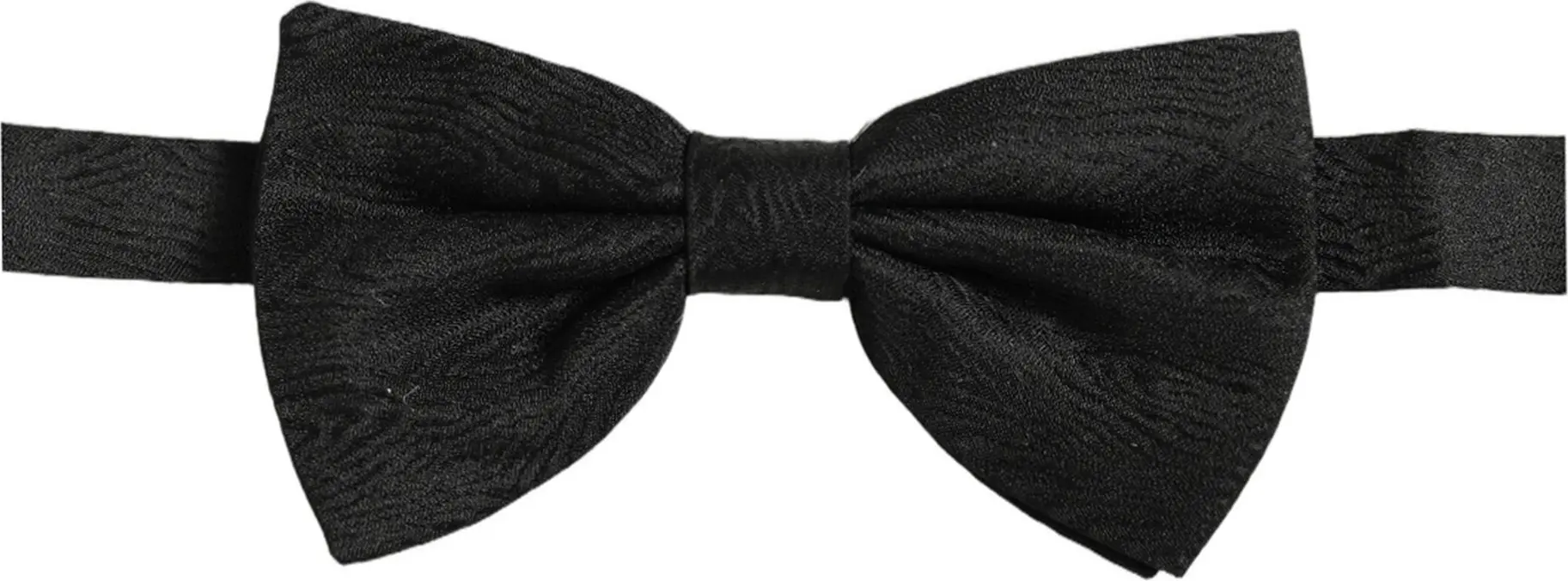 Бабочка Dolce & Gabbana