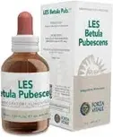 Drops Forza Vitale Les Betula Pubescens