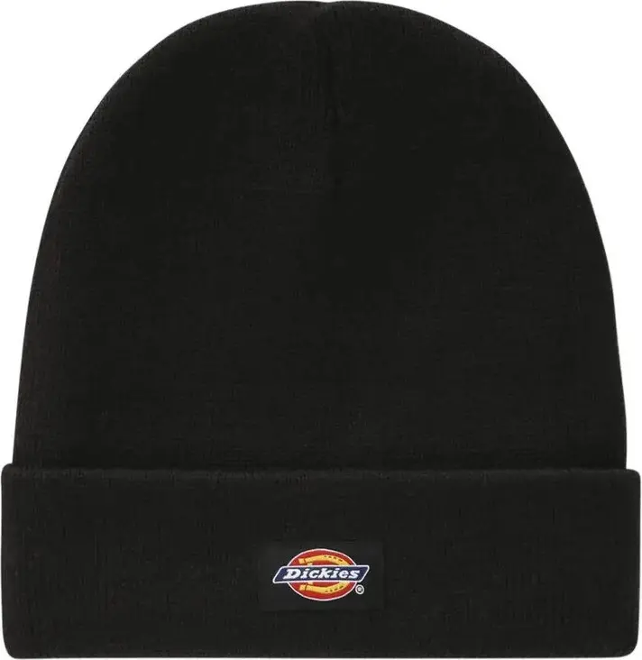 Кепка Dickies