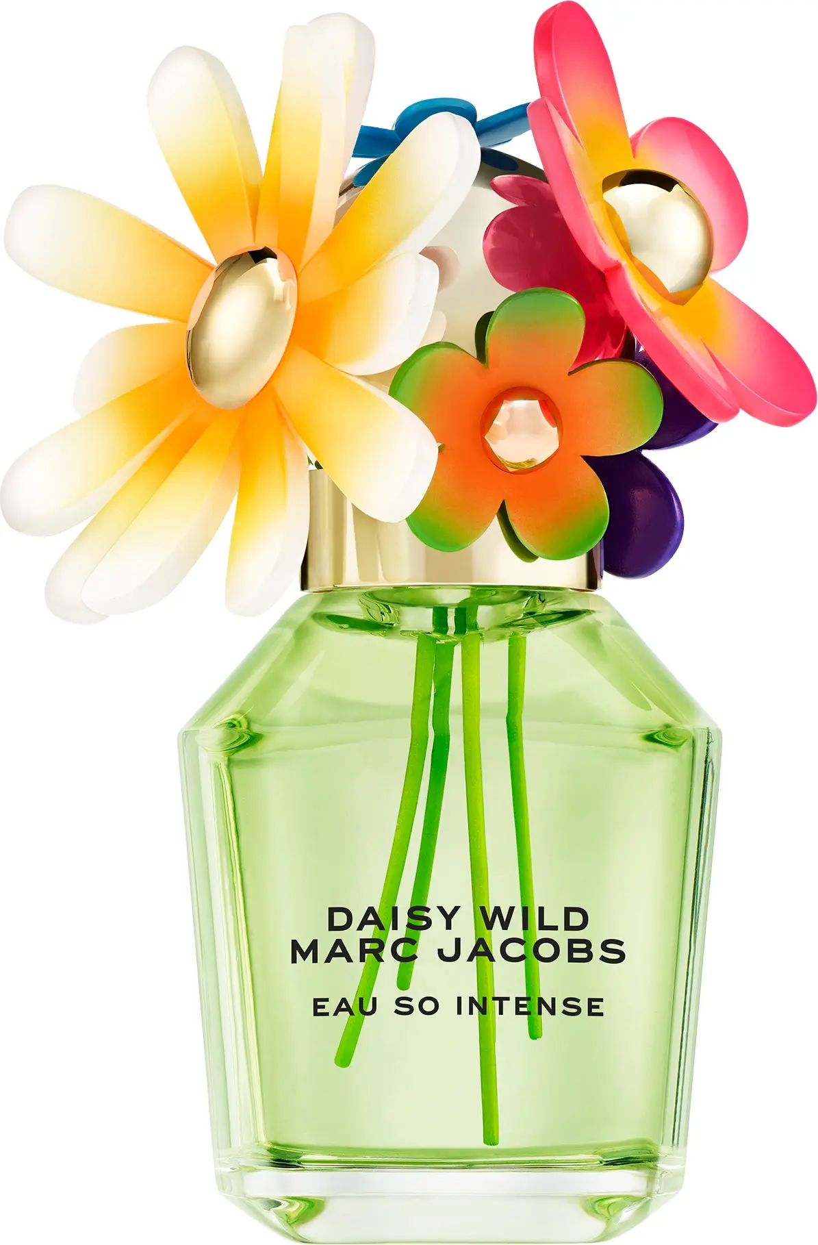 Парфюмерная вода Marc Jacobs Daisy Wild Intense