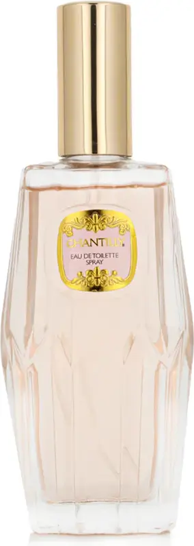 Туалетная вода Dana Chantilly