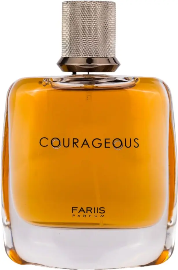 Парфюмерная вода Fariis Courageous