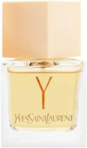 Yves Saint Laurent Y