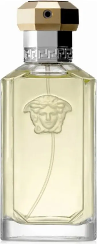 Versace Dreamer