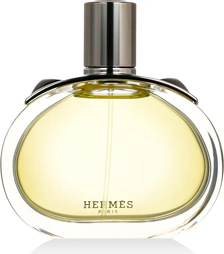 Hermès Barenia