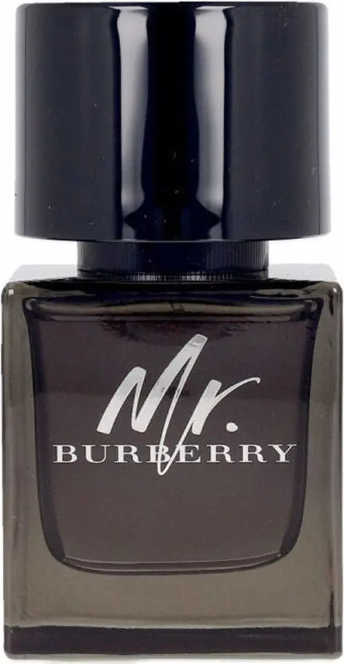 Burberry Mr. Burberry