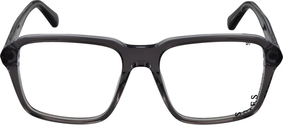 Plastic Glasses Frames GUESS