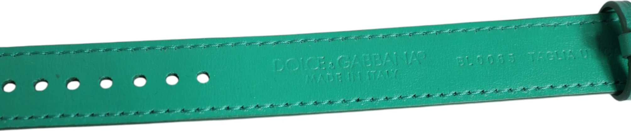 Браслет Dolce & Gabbana Зеленая экзотическая кожа Пряжка из металла золотистого тона Обруч