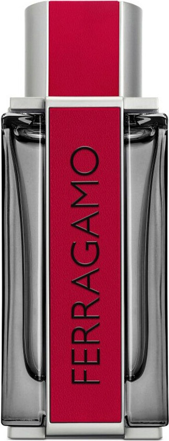 Salvatore Ferragamo Красный Кожа