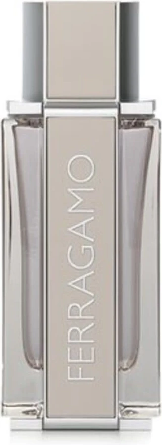 Salvatore Ferragamo Блестящая Кожа