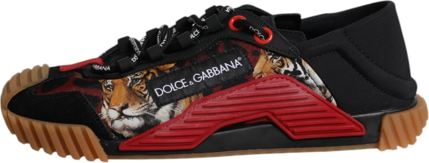 Кроссовки Dolce & Gabbana Low Top NS1