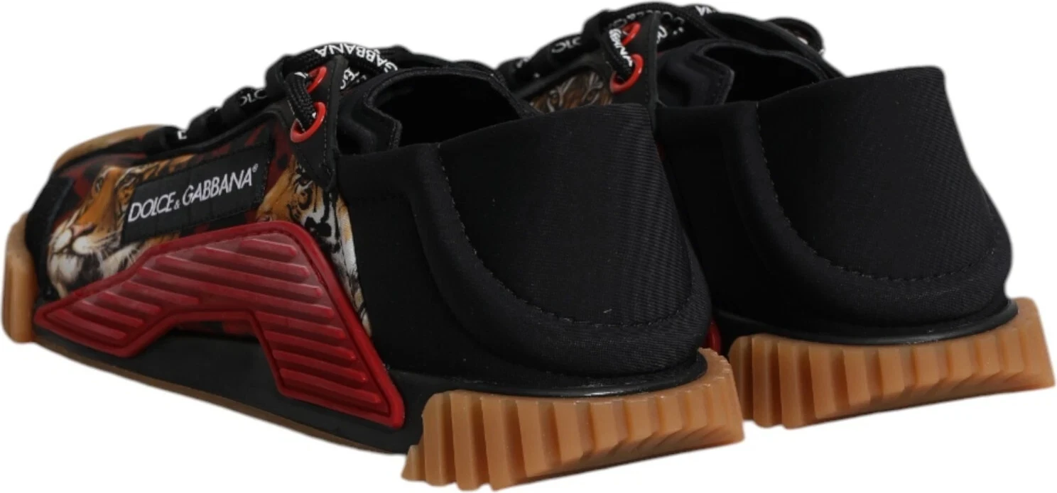 Кроссовки Dolce & Gabbana Low Top NS1