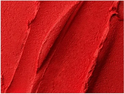 Помада L'Oreal Professional CLIO Tension