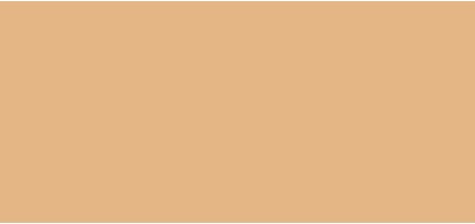 Тональная основа Foundation Fenty Beauty by Rihanna Pro Filt'r Soft Matte Foundation Mini