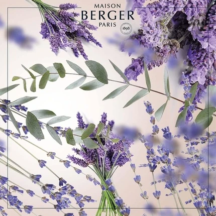 Рефиллер Maison Berger Лавандовые поля