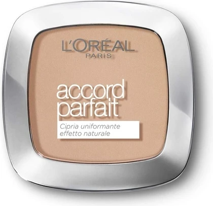 Пудра L'Oreal Professional True Match