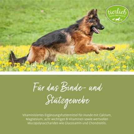 Капсулы Sanct Bernhard Joint Friend Dog