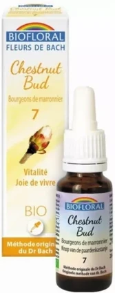 Liquid Extract Biofloral Biofloral